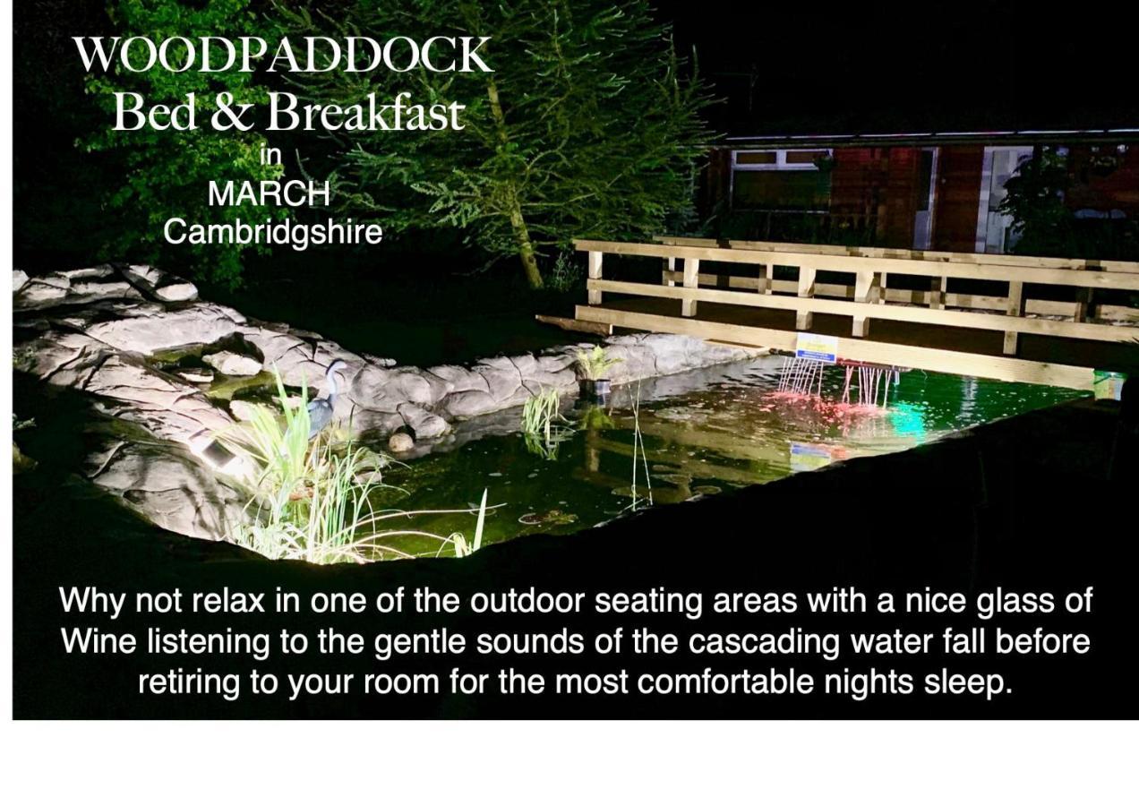 מארץ' Woodpaddock Bed & Breakfast מראה חיצוני תמונה