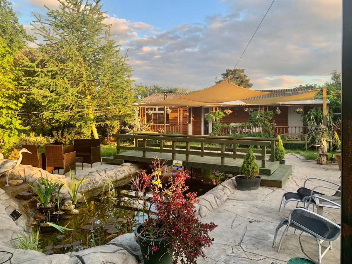 מארץ' Woodpaddock Bed & Breakfast מראה חיצוני תמונה