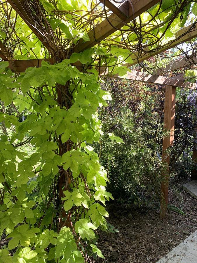 מארץ' Woodpaddock Bed & Breakfast מראה חיצוני תמונה