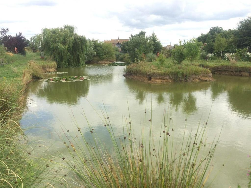 מארץ' Woodpaddock Bed & Breakfast מראה חיצוני תמונה